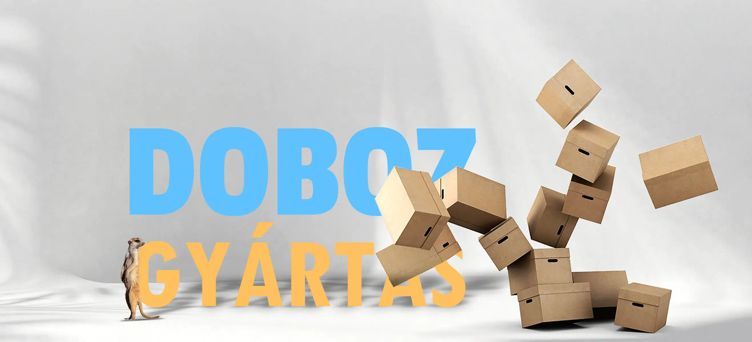 Go-Box Kft. – Dobozgyár Teljes Körű Digitális Transzformáció